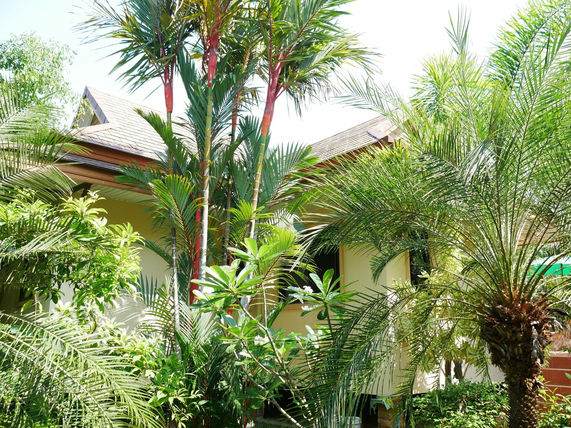 Finca-Marina ラヨーン エクステリア 写真